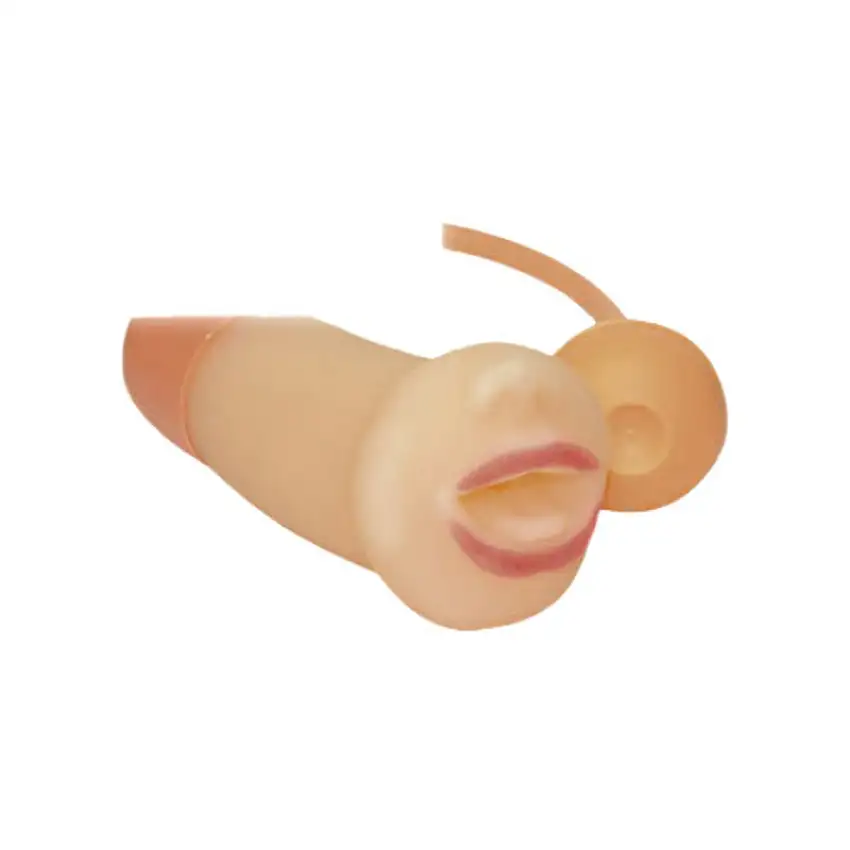 Image du produit précédent